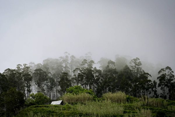 s 08.2 298-DSC 9856