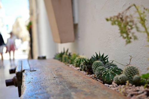 забележителности в Монополи