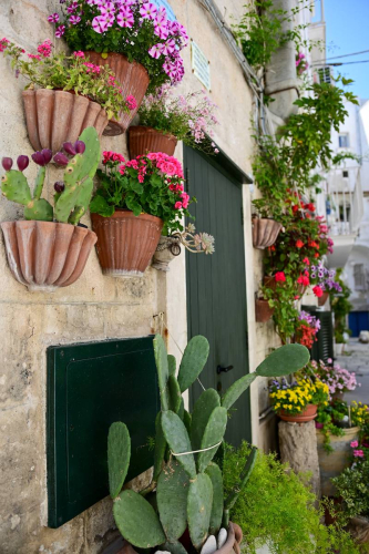 забележителности в Монополи