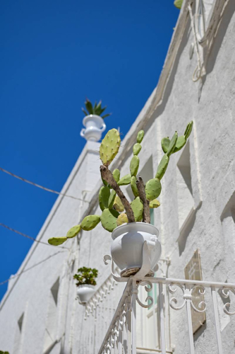 забележителности в Монополи