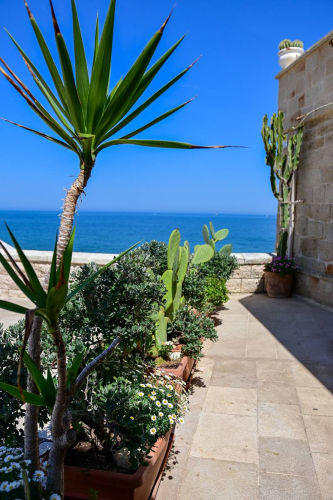 забележителности в Монополи