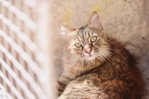 забележителности в Монополи