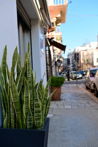 забележителности в Монополи