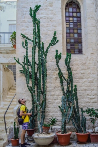 Полиняно а Маре