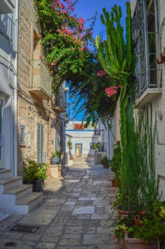 Полиняно а Маре