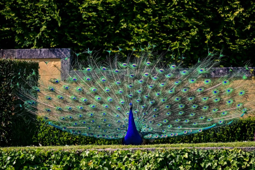 Забележителности в Порто