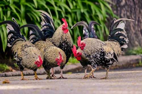 Забележителности в Порто