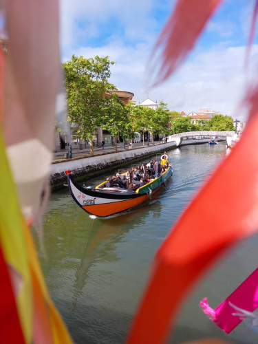 s Day-3.5-from-Phone-207