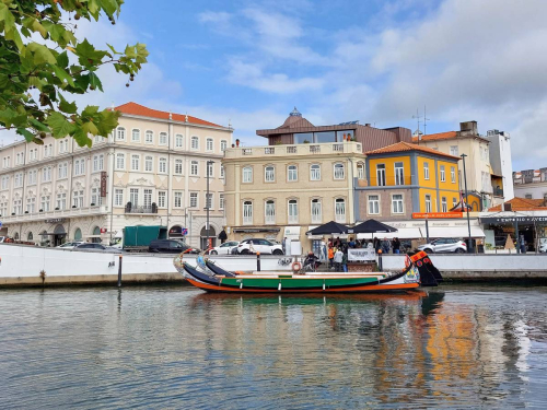 s Day-3.5-from-Phone-209