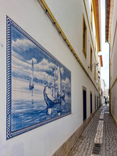 s Day-3.5-from-Phone-218