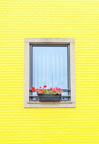 s Day-3.5-from-Phone-243