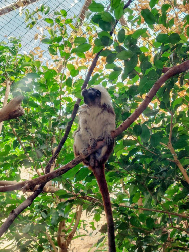 забележителности в Рим