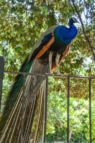 забележителности в Рим