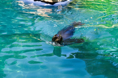 забележителности в Рим