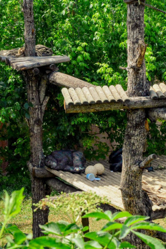 забележителности в Рим