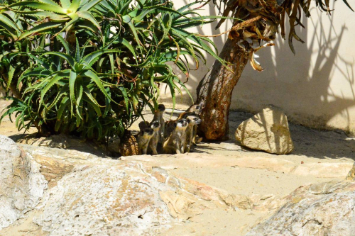 забележителности в Рим