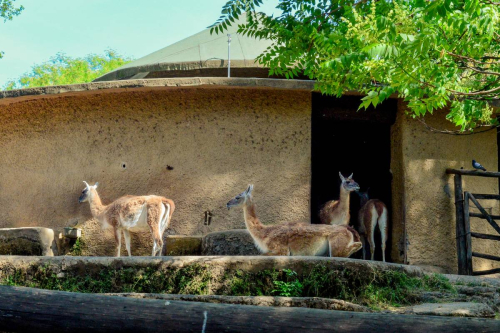 забележителности в Рим