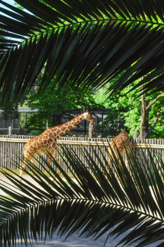 забележителности в Рим