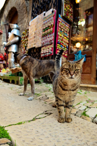 забележителности в Сицилия