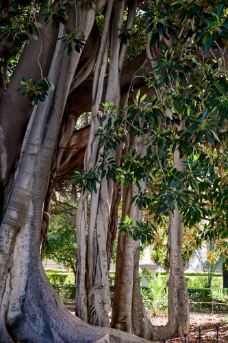 забележителности в Палермо