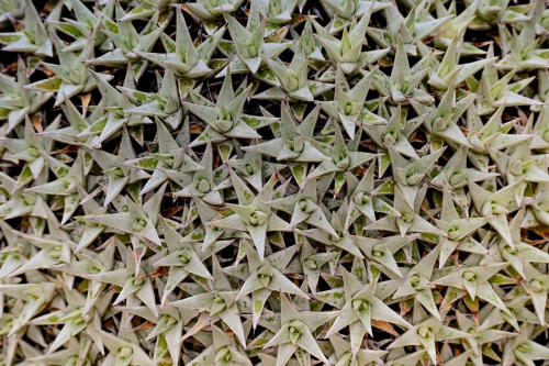 забележителности в Палермо