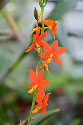 забележителности в Палермо