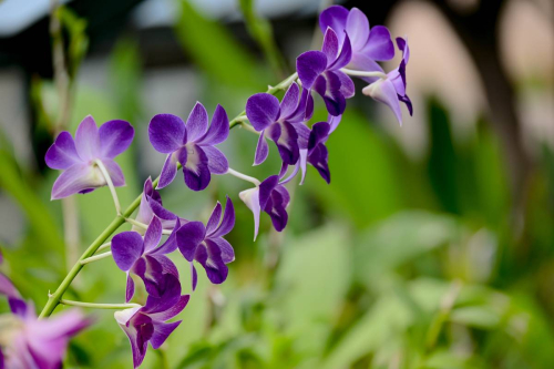 забележителности в Палермо