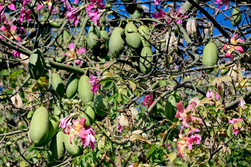 забележителности в Палермо