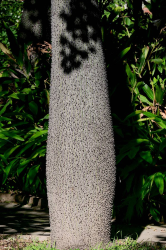 забележителности в Палермо