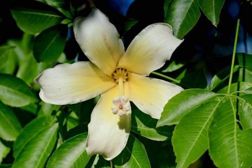 забележителности в Палермо