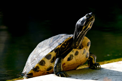 забележителности в Палермо
