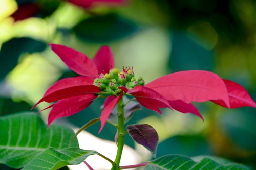 забележителности в Палермо