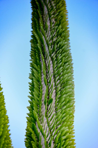 забележителности в Палермо