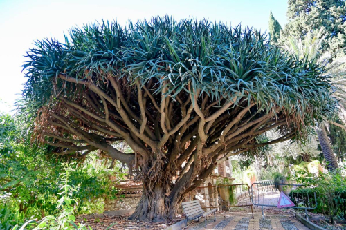 забележителности в Таормина