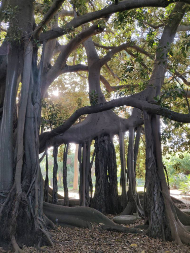 забележителности в Сицилия