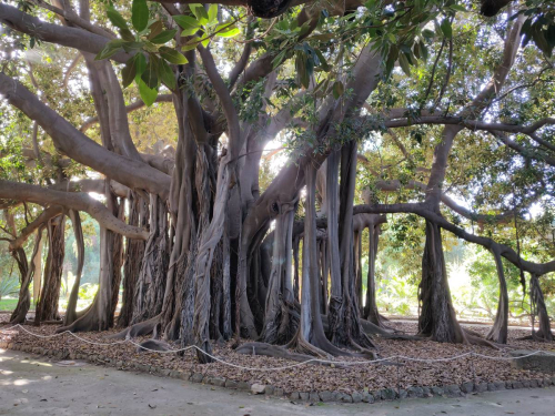 забележителности в Сицилия