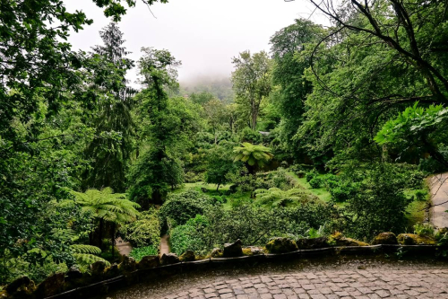 Синтра - Кинта да Регалейра