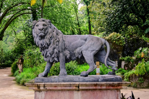 Синтра - Кинта да Регалейра