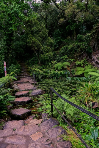 Синтра - Дворецът Монсерат