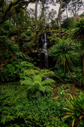 Синтра - Дворецът Монсерат