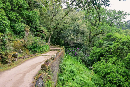 Синтра - Дворецът Монсерат