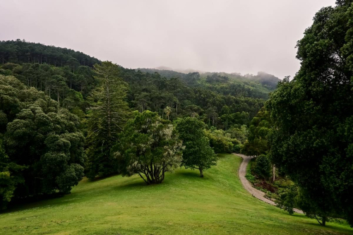 Синтра - Дворецът Монсерат