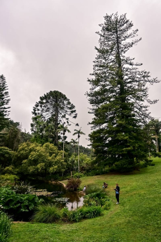 Синтра - Дворецът Монсерат