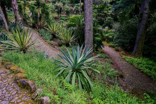 Синтра - Дворецът Монсерат