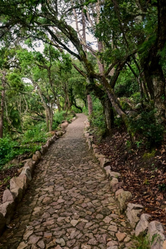 Синтра - Дворецът Монсерат