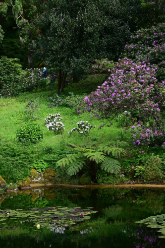 Синтра - Дворецът Монсерат