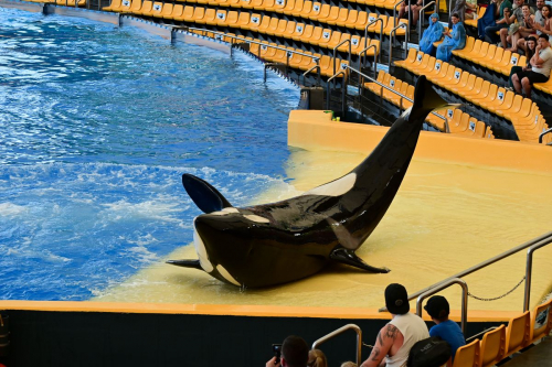 забележителности на Tенерифе