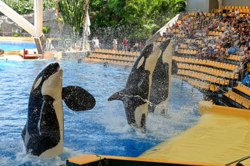 забележителности на Tенерифе