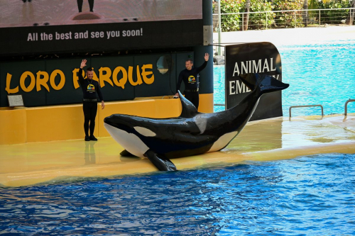 забележителности на Tенерифе