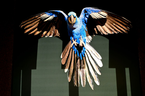 забележителности на Tенерифе